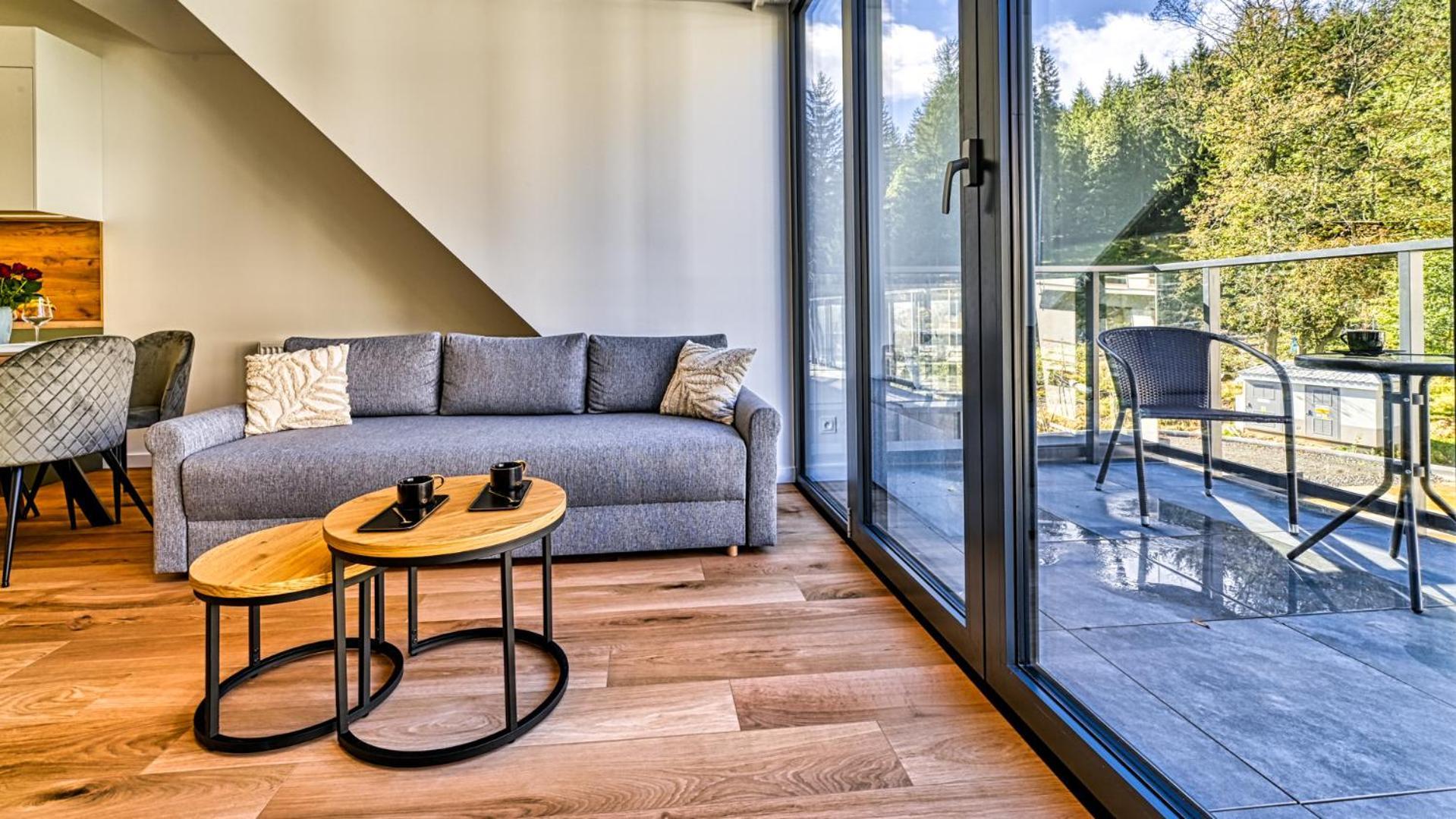 Zrodlo Izery Przy Gondoli Vip Sauna, Silownia, Bawialnia By Royal Aparts Apartment